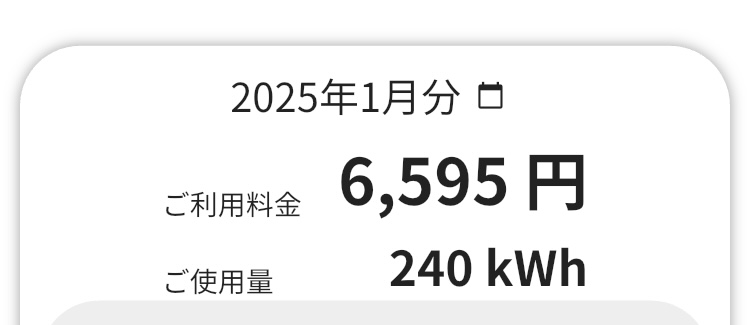 2025年1月の電気代